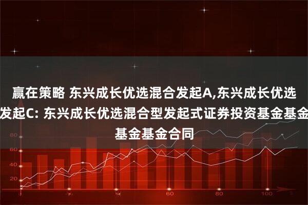赢在策略 东兴成长优选混合发起A,东兴成长优选混合发起C: 东兴成长优选混合型发起式证券投资基金基金合同