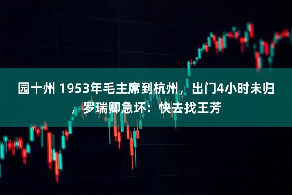 园十州 1953年毛主席到杭州，出门4小时未归，罗瑞卿急坏：快去找王芳